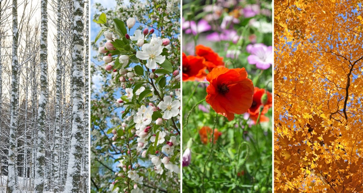 Blog #23- A-Z Skin Care Continued: Changing Skin Care as the Seasons Change- Part 2