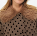 Spencer Coat
