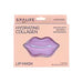 Lip Mask