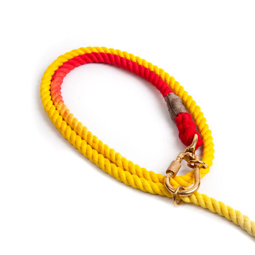 Adjustable Prismatic Cotton Rope Dog Leash