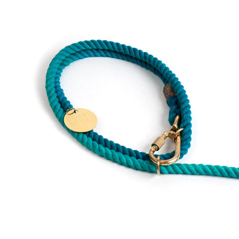 Adjustable Teal Ombre Rope Dog Leash