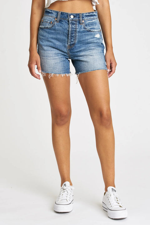 Bottom Line High Rise Vintage Shorts